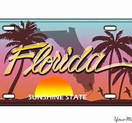 Image result for Florida License Plate