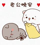 Image result for A Cute Cat GIF