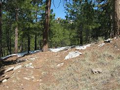 Image result for Mica Mountain AZ Hikes