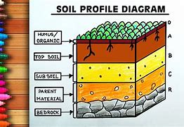 Image result for Typical Soil Profile