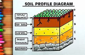 Image result for Soil Layers Drawing