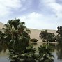 Image result for Oasis Desert Town