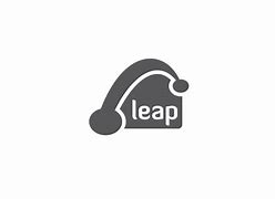 Image result for Dear to Leap Logo