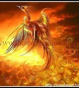 Image result for Chinese Phoenix Bird