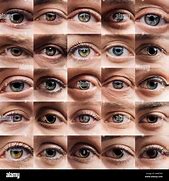 Image result for Beautiful Eyes Body