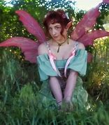 Image result for Fairy Wings Craft