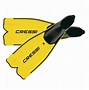 Image result for Paint Scuba Fins