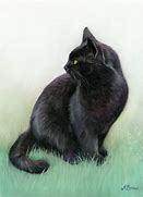 Image result for Evil Black Cat Art