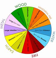 Image result for Qi Organ Cleanse Clock Cycle