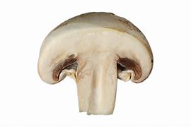 Image result for 1-Up Mushroom PNG