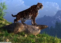 Image result for Smilodon Animal