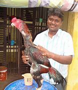 Image result for Malay Chicken