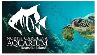 Image result for Rhode Island Aquarium