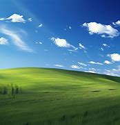 Image result for Blue Sky Field