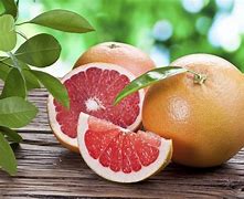 Image result for Citrus Grapefruit Australia