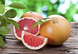 Image result for Citrust Triangle Grapefruit