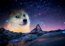 Image result for Funny Doge Meme Wallpaper