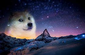 Image result for Doge Meme Wallpaper Good Quality