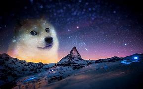 Image result for Doge Meme Desktop Wallpaper