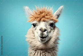 Image result for Lama Smiling