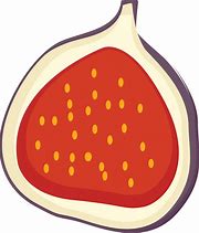 Image result for Fig Fruit Clip Art