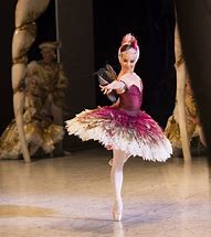 Image result for Fairy Ballerina