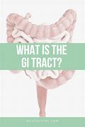 Image result for Goat GI-tract