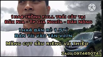 Image result for Bán Trái Cây Đường Phố Sài Gòn