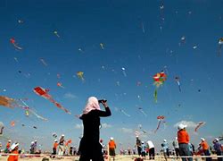 Image result for Ragged Kites