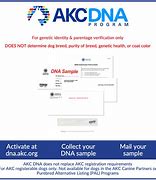 Image result for AKC DNA Certificate