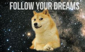 Image result for doge meme cute