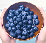 Image result for Chandler Blueberry