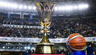 Image result for Basketball World Cup