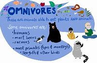 Image result for Omnivore Clip Art