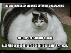 Image result for Fat Cat Stare Meme