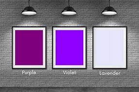 Image result for Lavender Purple