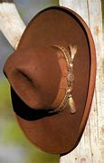 Image result for Expensive Cowbow Hat