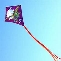 Image result for Davison Dragon Kite