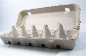 Image result for Egg Carton Packaging