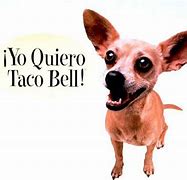 Image result for Taco Bell Mascot Anime