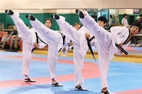 Image result for Tae Kwon Do