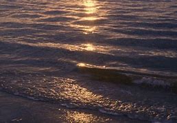 Image result for Purple Ocean Waves GIF