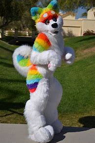 Image result for Furry Costumes