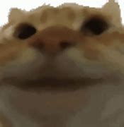 Image result for Cat Saying Yes