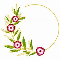 Image result for Flower Circle PNG