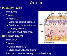 Image result for Skin Laceration Down to the Dermis