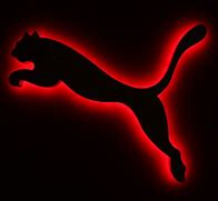 Image result for Puma Decal