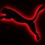 Image result for Puma Decal