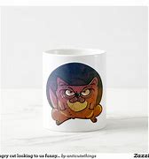 Image result for Funny Angry Cat Mug