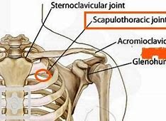 Image result for Scapulothoracic Joint Arthroscopy